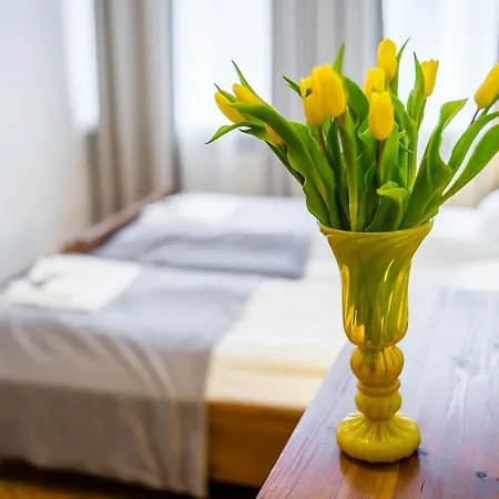Apartament Zacisze Wawelofts-2